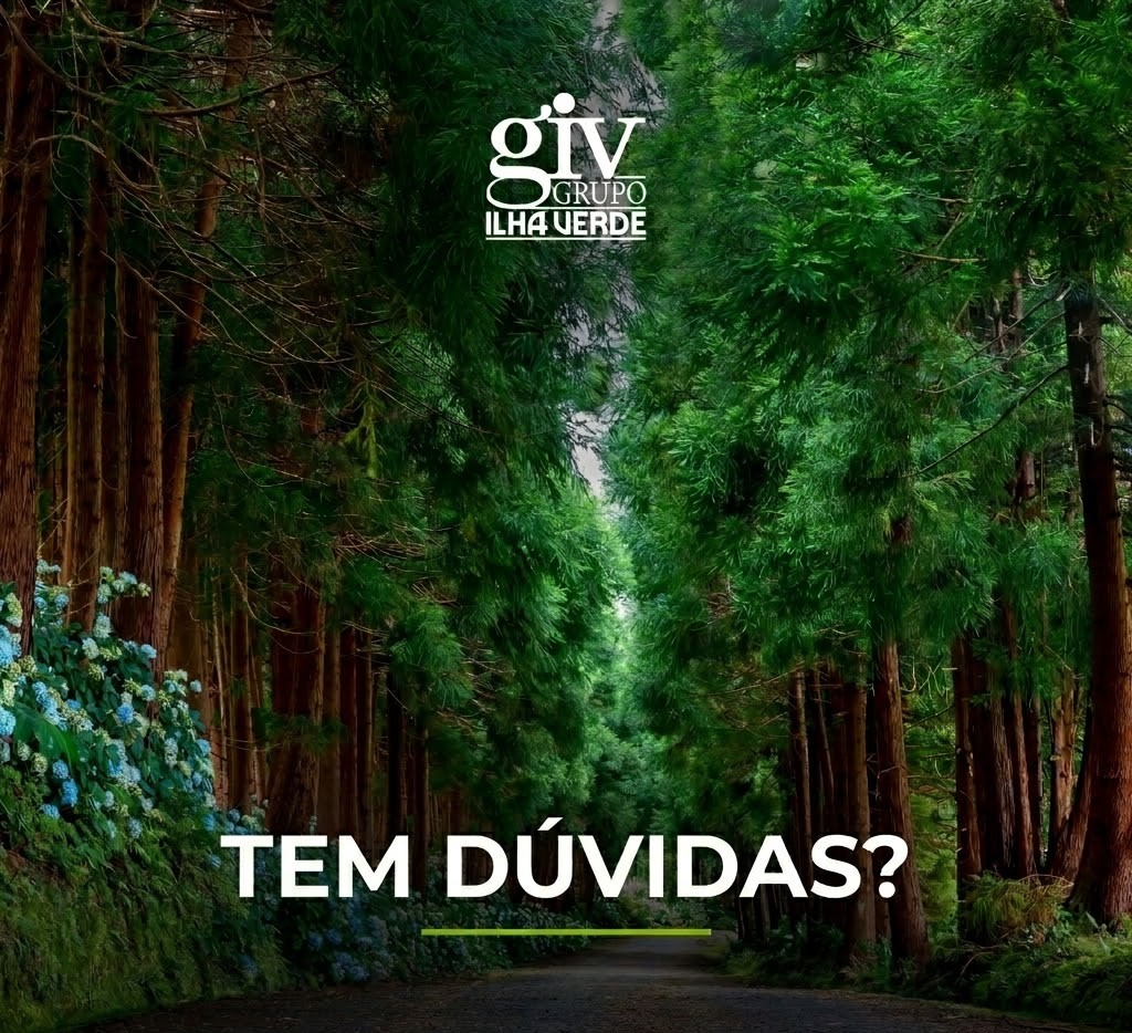 Estrada na floresta dos Açores, Grupo Ilha Verde
